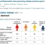 Local Peer Review Study:  A Majority of Uninfected Adults Show Preexisting Antibody Reactivity Against SARS-CoV-2
