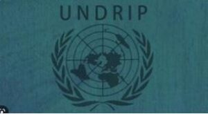 UNDRIP: The UN Captures Vancouver BC. UNsustainable! Agenda 21+