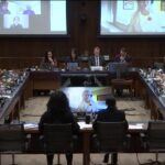 Canadian Constitutional Foundation Testimony Christine Van Geyn